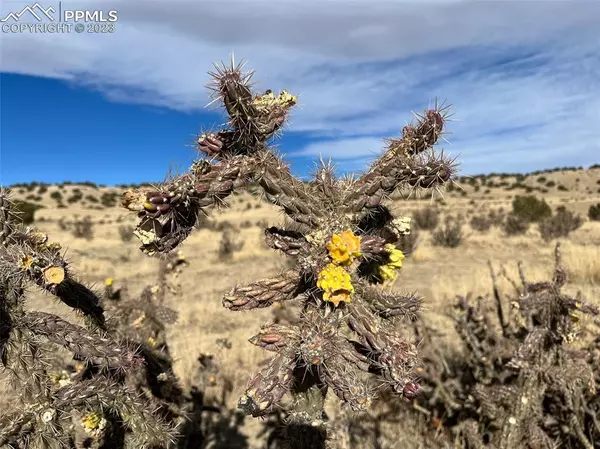 Pueblo, CO 81004,Horse Creek RD