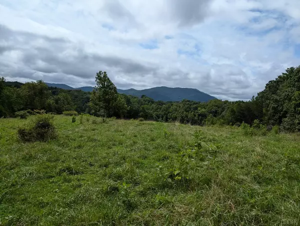 Big Island, VA 24526,0 Camden DR