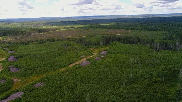 Timiskaming Remote Area, ON P0J 1H0,Lot 5 Con 3 N/A