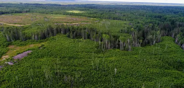 Timiskaming Remote Area, ON P0J 1H0,Lot 5 Con 3 N/A