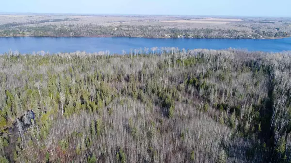 Timiskaming Remote Area, ON P0J 1H0,Lot 11 Con 4, Long Lake N/A