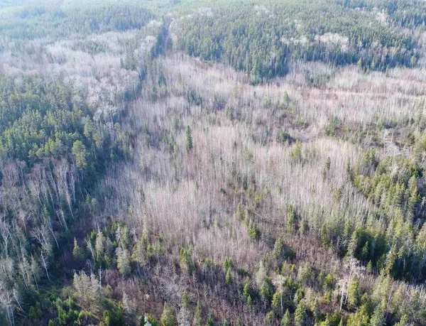 Timiskaming Remote Area, ON P0J 1H0,Lot 11 Con 4, Long Lake N/A