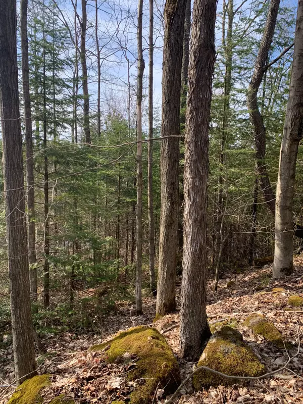 Grey Highlands, ON N0C 1M0,LOT 31 8th Concession B N/A