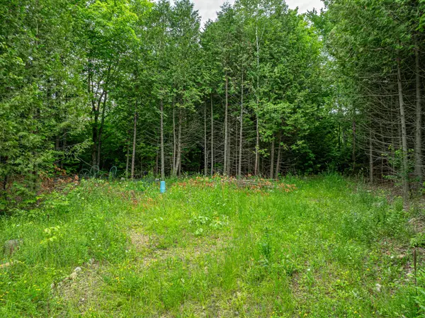 Grey Highlands, ON N0C 1M0,LOT 31 8th Concession B N/A