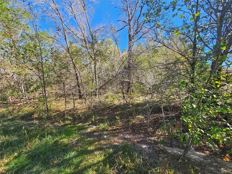 Lot 20 Outboard Drive, Gun Barrel City, TX 75156