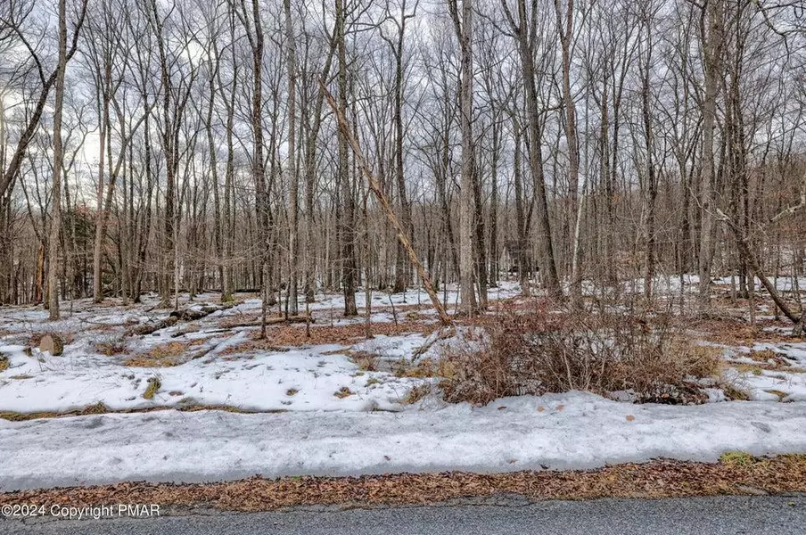 Lot 17 Pocono Mountain Lake Drive, Pike County, PA 18324