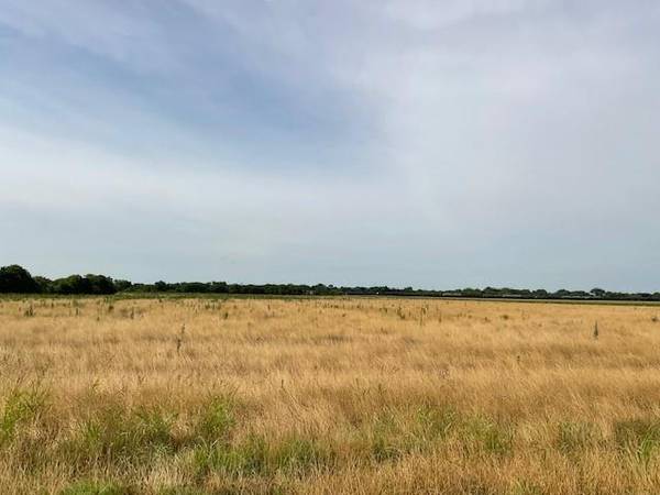 Waxahachie, TX 75165,TBD FM 879