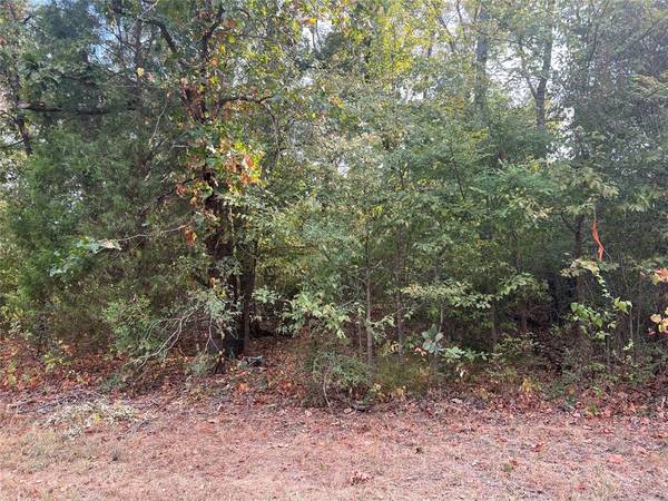 Log Cabin, TX 75148,Lot 43 Daniel Boone Lane