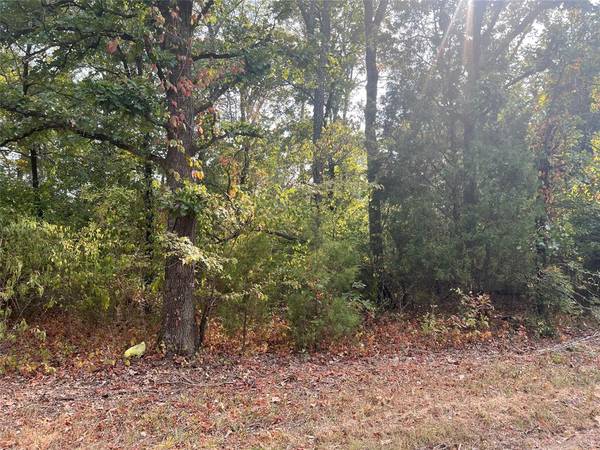 Log Cabin, TX 75148,Lot 43 Daniel Boone Lane