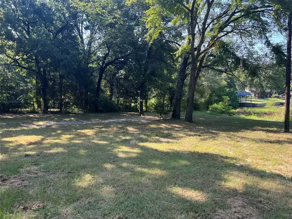 Payne Springs, TX 75156,Lot 304 & 305 Hidalgo Loop