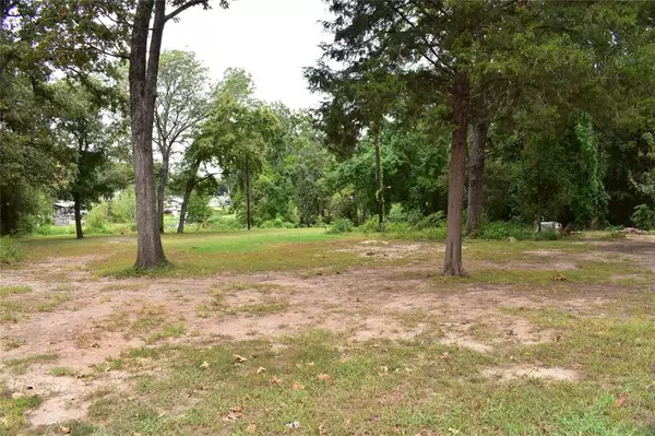 Payne Springs, TX 75156,Lot 304 & 305 Hidalgo Loop