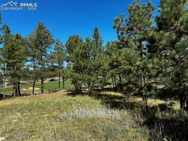 Colorado Springs, CO 80908,14731 Quartz Creek DR