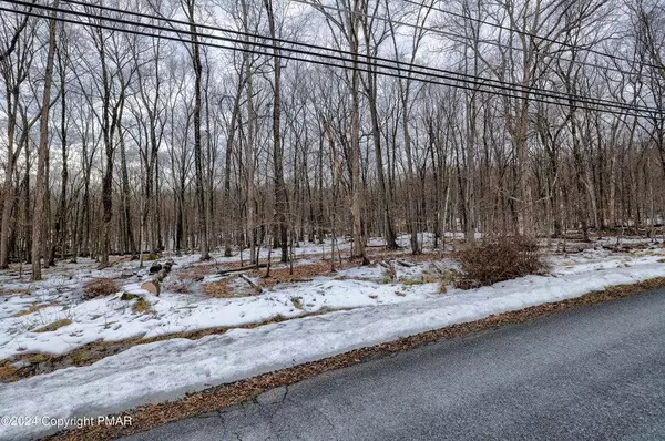 Pike County, PA 18324,Lot 17 Pocono Mountain Lake Drive