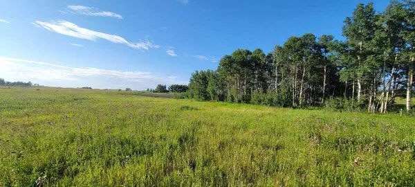 Rural Rocky View County, AB T4C 1A2,32103 Badger RD