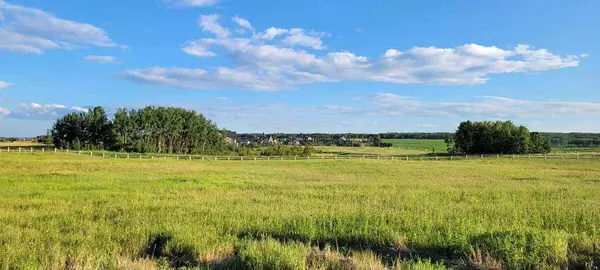 Rural Rocky View County, AB T4C 1A2,32103 Badger RD