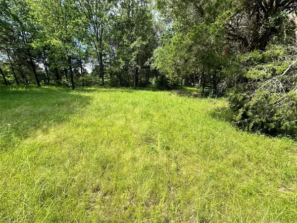 Kerens, TX 75144,Lot 6 Sweetwater Trail