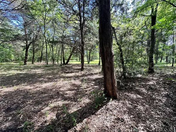 Kerens, TX 75144,Lot 6 Sweetwater Trail