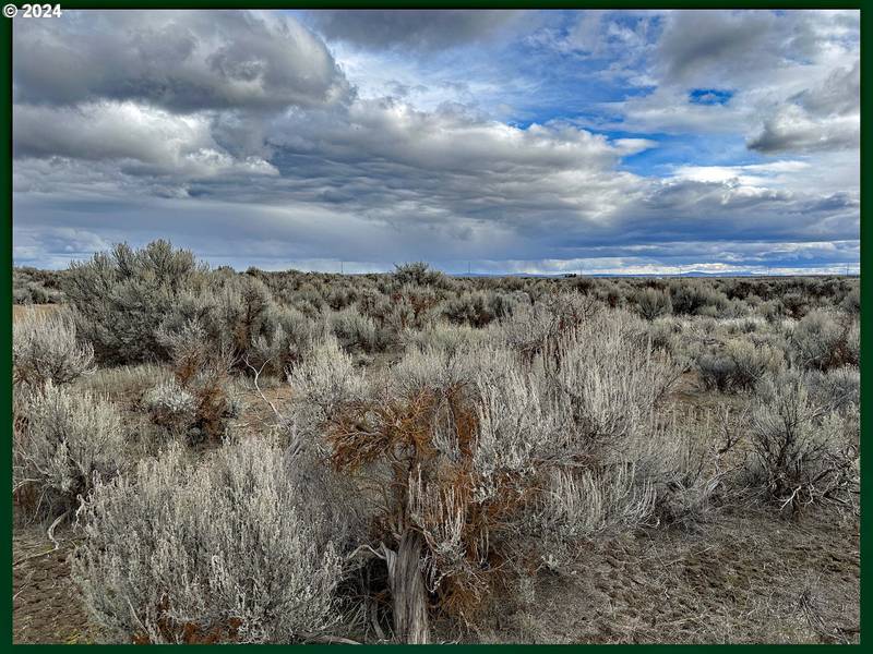 Millican RD #300, Christmas Valley, OR 97641