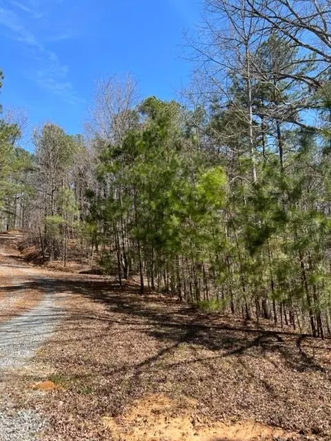 Ellijay, GA 30540,LOT 2 Hunter Ridge