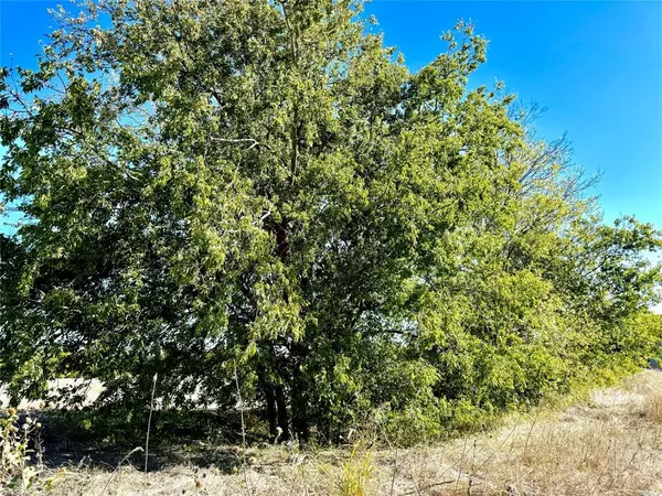 Nevada, TX 75173,Lot 10 CR-590