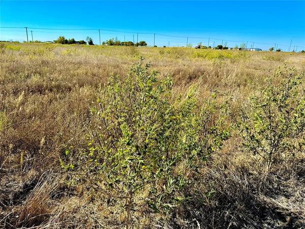 Nevada, TX 75173,Lot 6 CR-590