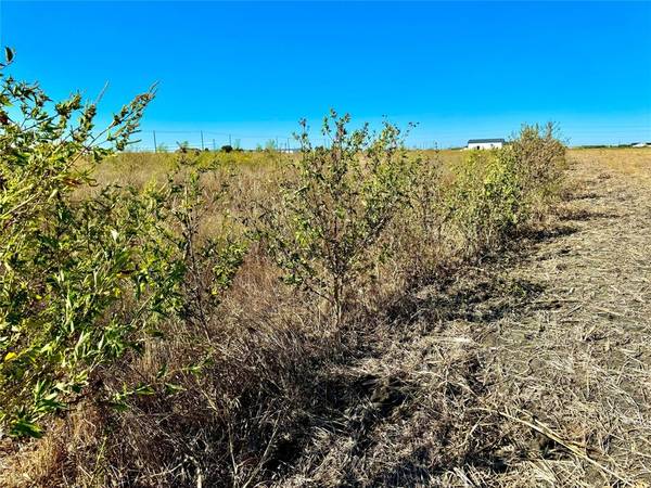 Nevada, TX 75173,Lot 6 CR-590