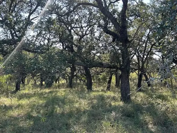 Richland Springs, TX 76871,TBD CR 204