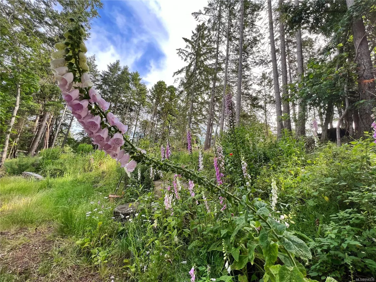 Gabriola Island, BC V0R 1X7,LT 1 North Rd