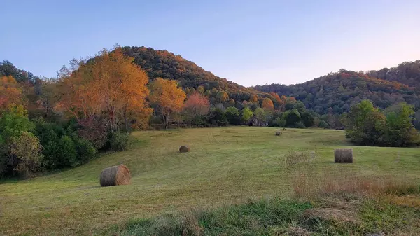 Castlewood, VA 22424,TBD Honaker Chapel Road