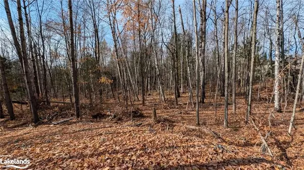 LOT 1 TALLY HO WINTER PARK RD, Lake Of Bays, ON P1H 2E5