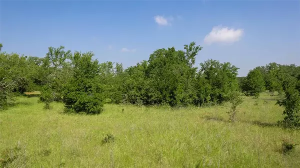 Brownwood, TX 76801,7260 N FM 2125