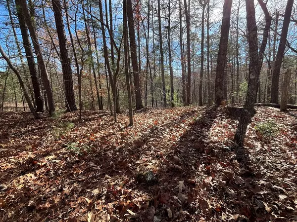 Morganton, GA 30560,Lot 69 Tipton Springs Road