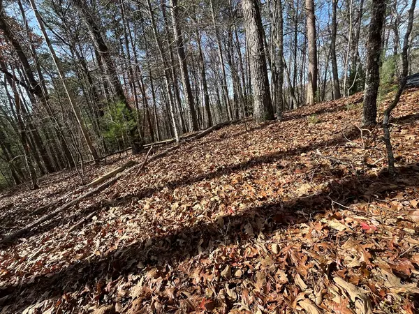 Morganton, GA 30560,Lot 69 Tipton Springs Road