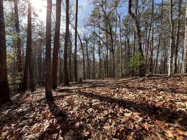 Morganton, GA 30560,Lot 69 Tipton Springs Road