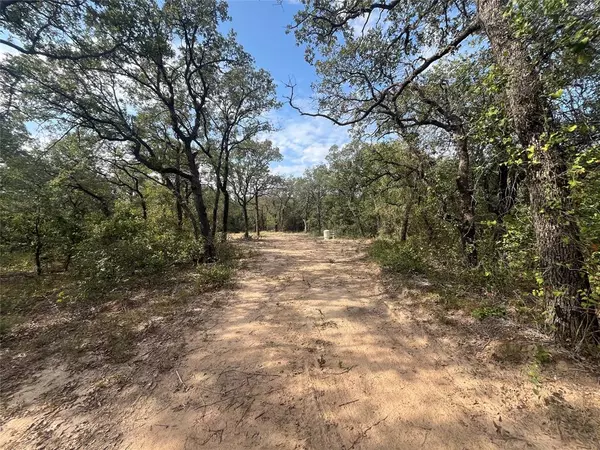 Bridgeport, TX 76426,TBD Lot 4 Private Road 3204