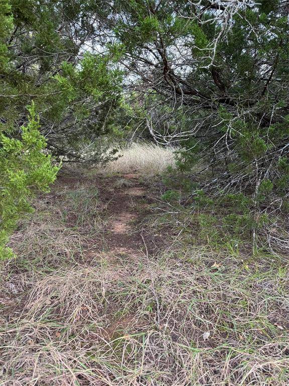 Whitney, TX 76692,32049 Dove Trail