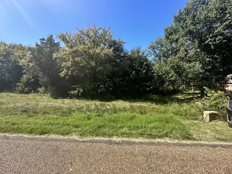 000 Splitrail Drive, Mabank, TX 75143