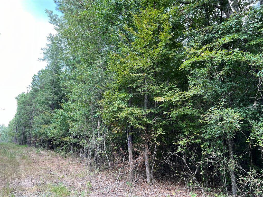 1564 County Road 325,  De Berry,  TX 75639