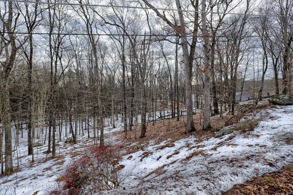 Pike County, PA 18324,Lot 679 Raccoon Court