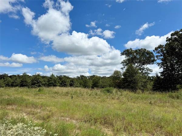 LOT 21 Rains County Rd 2610, Alba, TX 75410