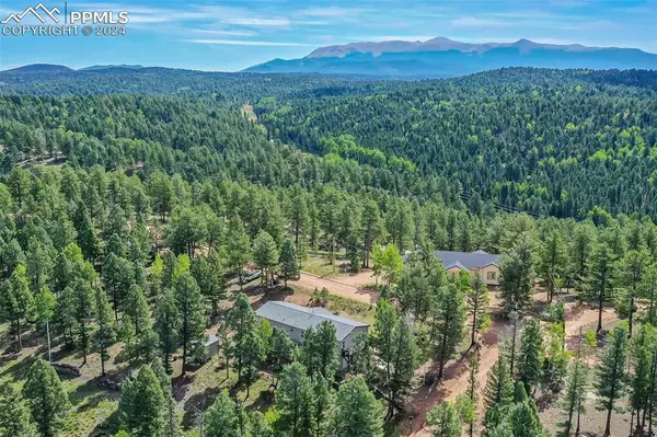 Florissant, CO 80816,11 Insmont LN