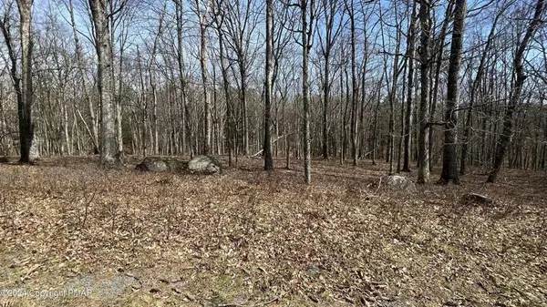 Pike County, PA 18436,Lot 155 Tinkwig Drive