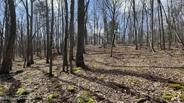 Pike County, PA 18436,Lot 155 Tinkwig Drive