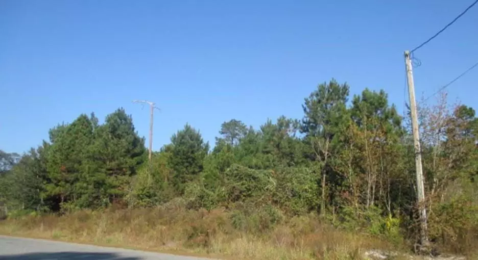 Valdosta, GA 31602,Lot 1, 0 Meadowlark Rd.