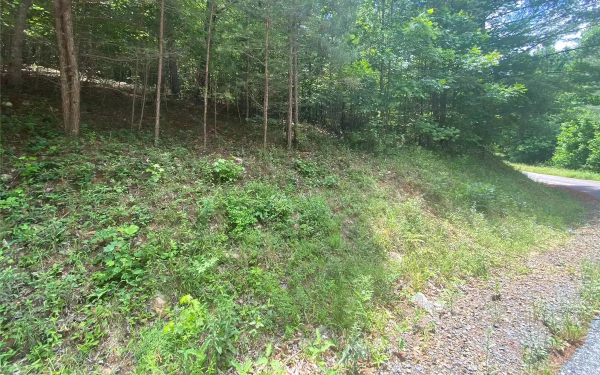 Murphy, NC 28903,LOT60 Choctaw Ridge Trail