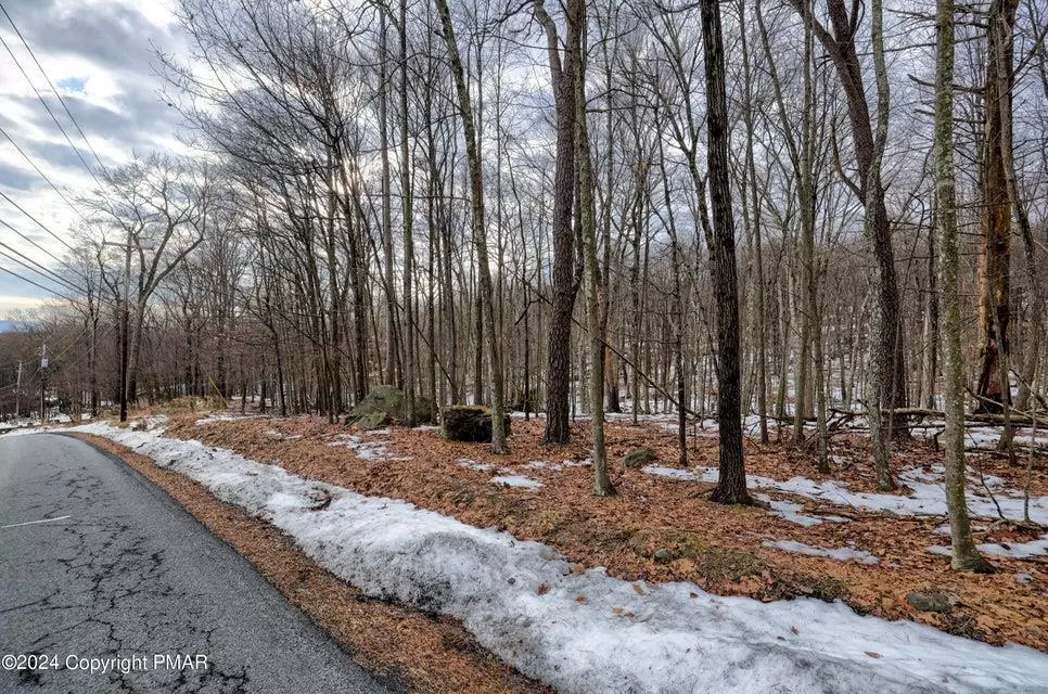 Pike County, PA 18324,Lot 28 Eagle Path