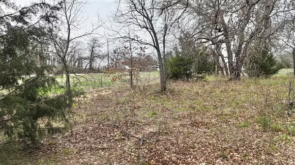 Weatherford, TX 76088,Lot 23-B FM 920