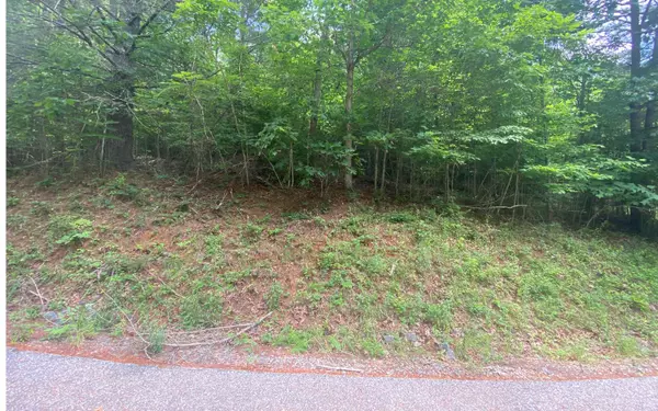 Murphy, NC 28903,LOT60 Choctaw Ridge Trail