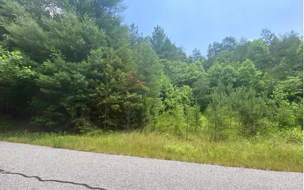 Murphy, NC 28903,LOT60 Choctaw Ridge Trail