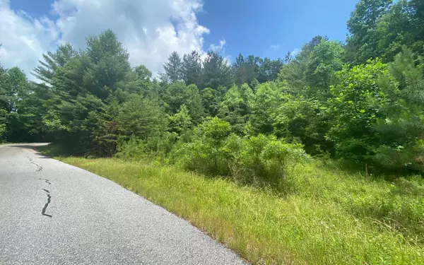 Murphy, NC 28903,LOT60 Choctaw Ridge Trail